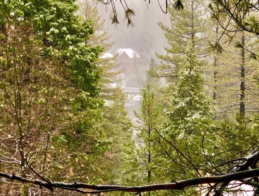 Glimmer Chalet Treetop A-Frame Cabin Lake View Lake Arrowhead Extérieur photo